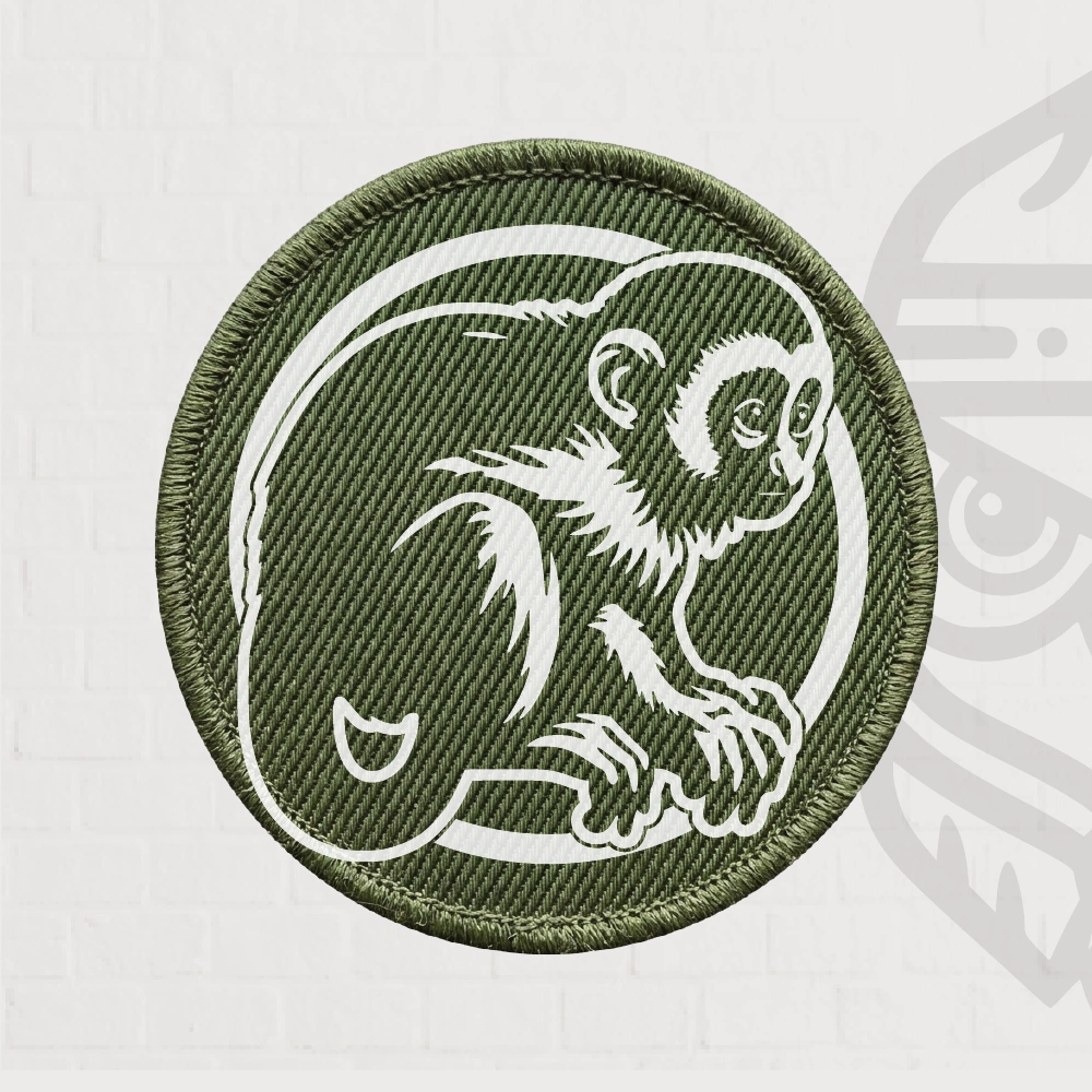 Aap Patch