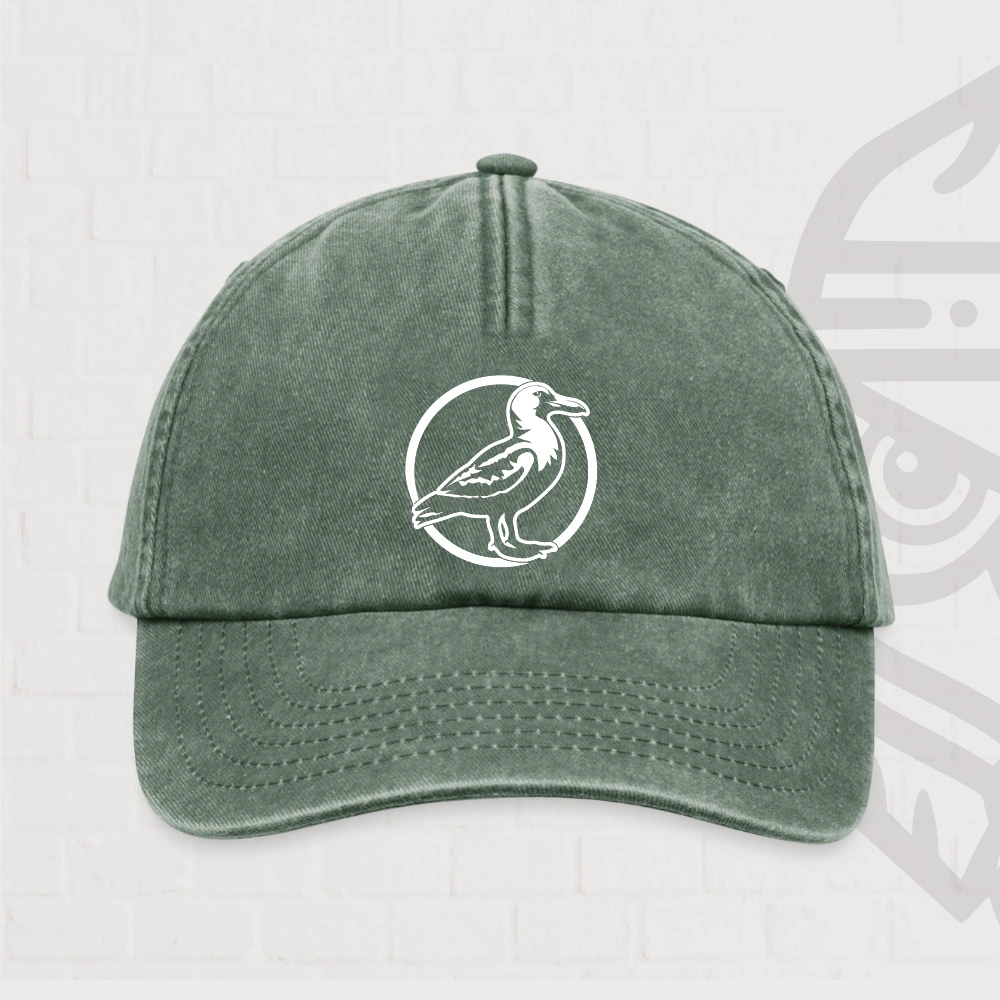Albatros Casquette Vintage