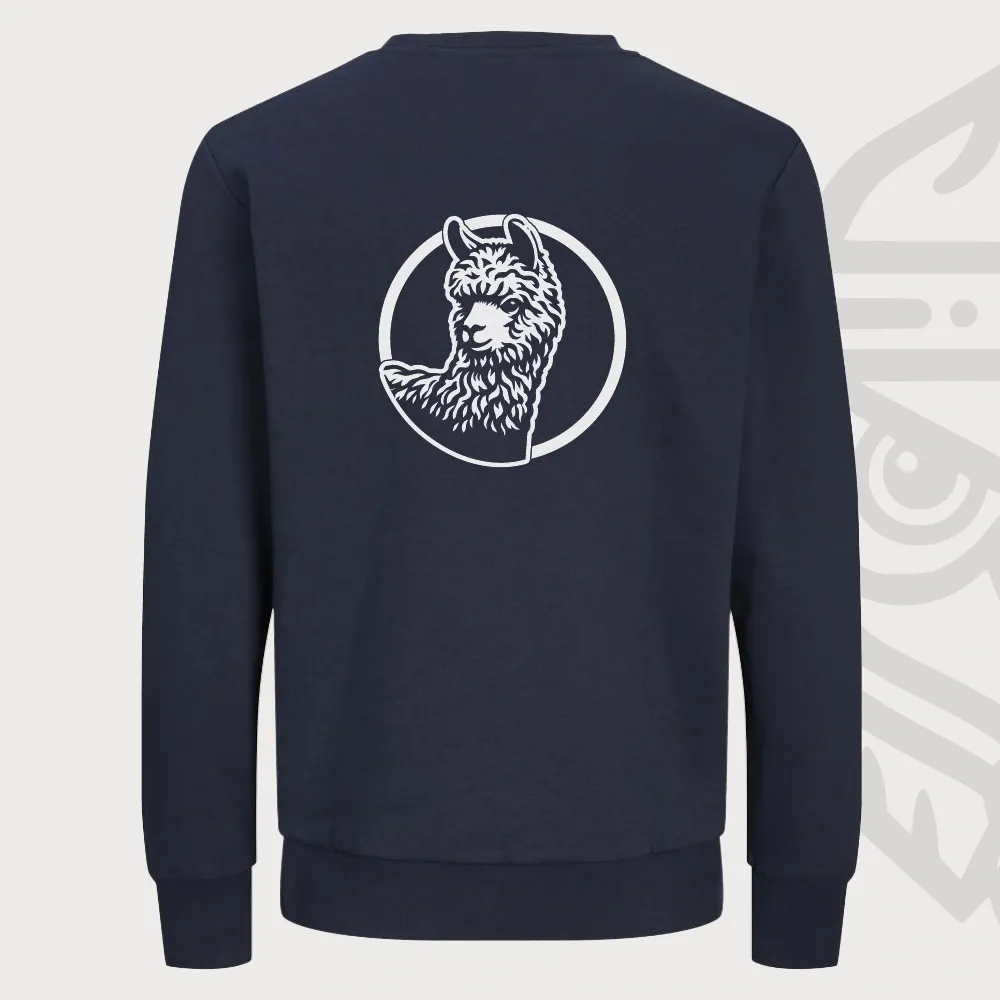 Alpaca Sweater