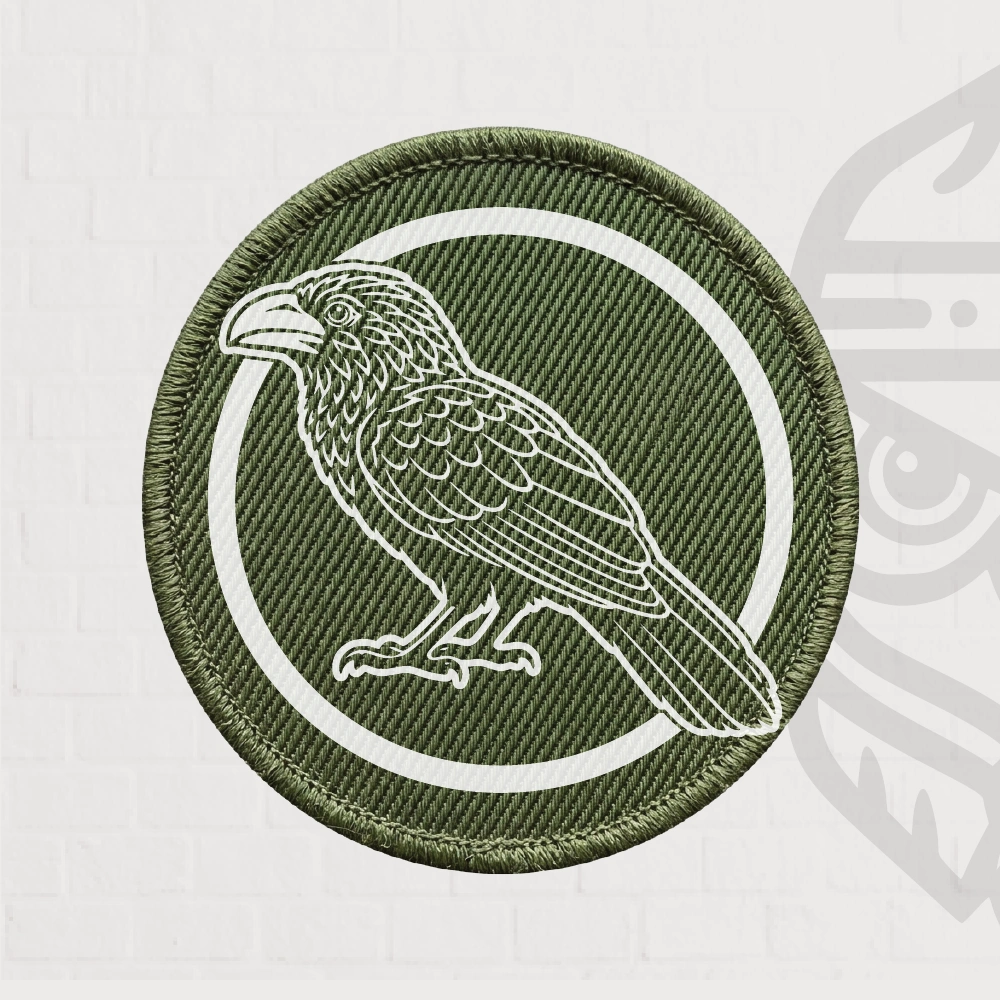 Ani Patch