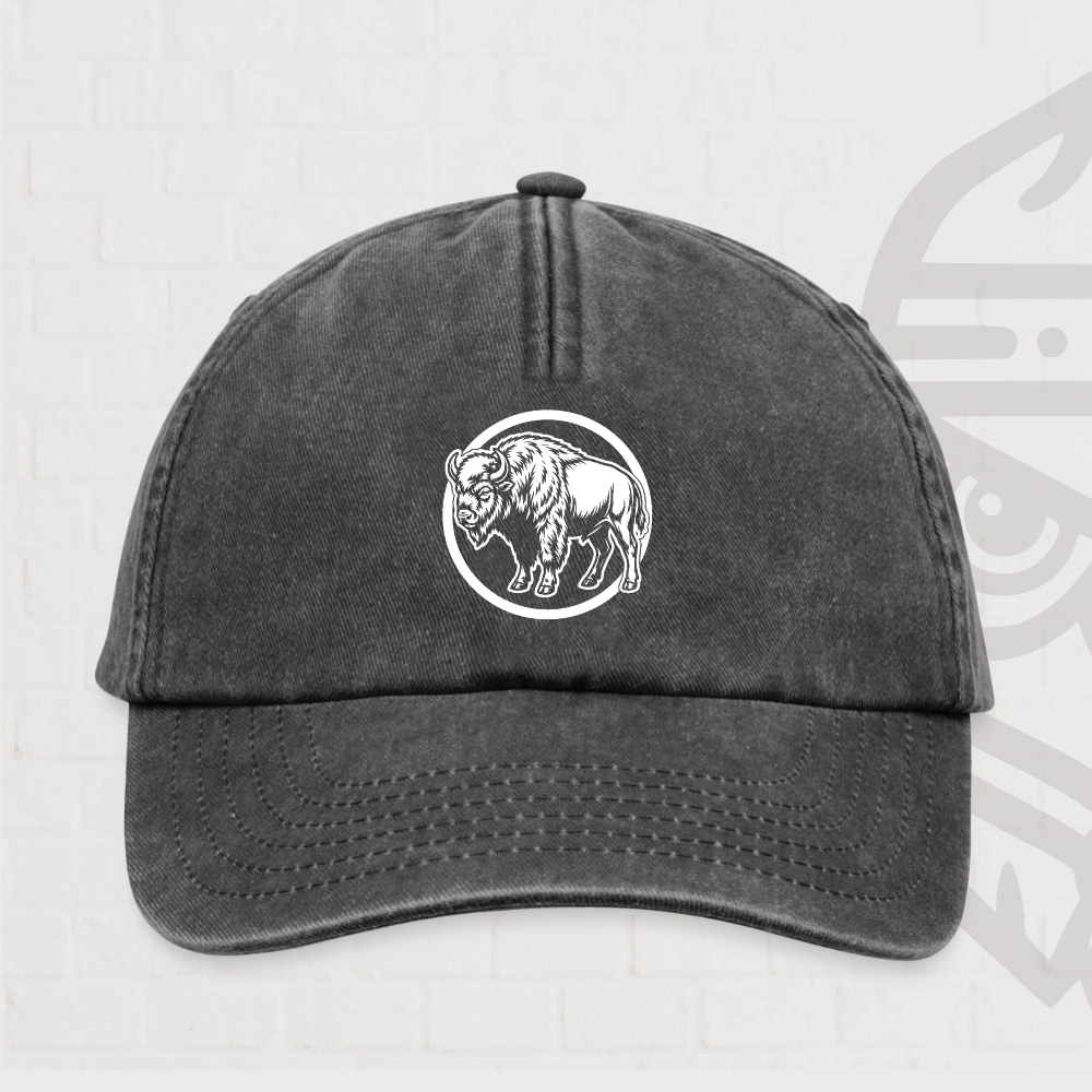 Bison Casquette Vintage
