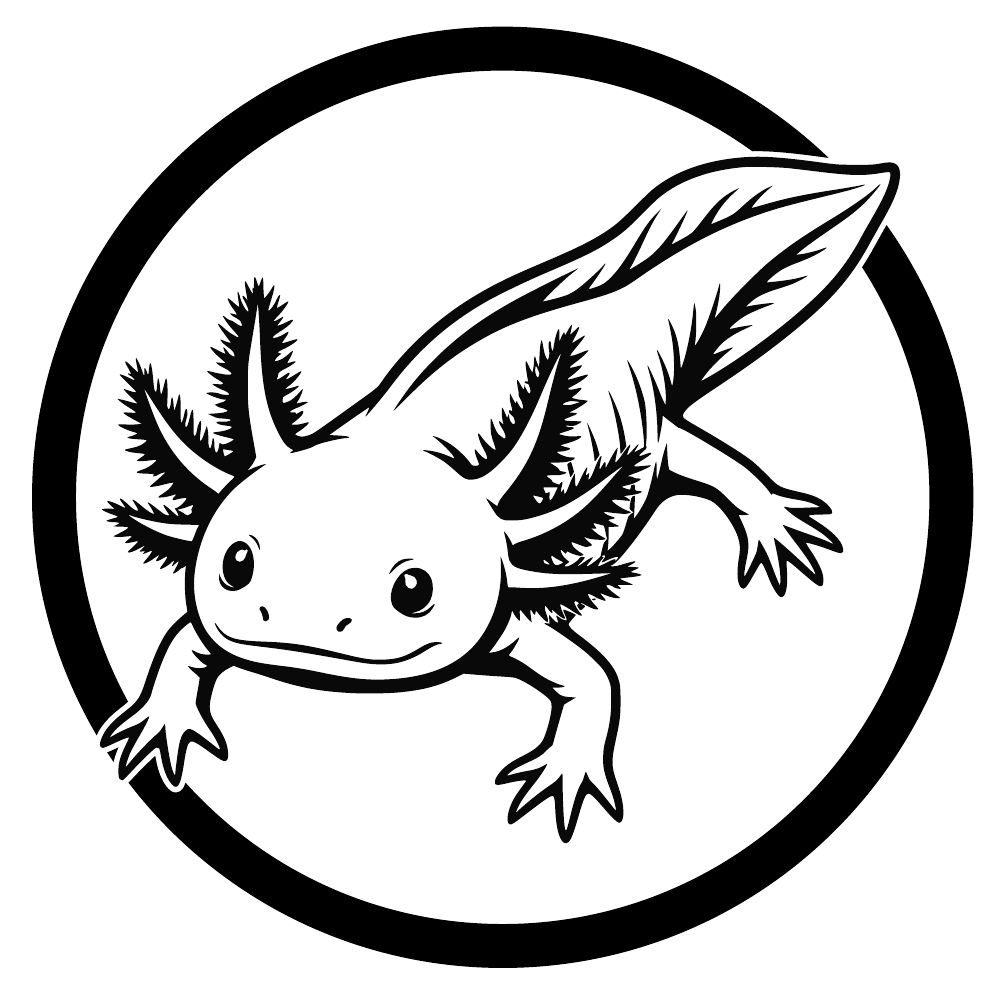 Axolotl