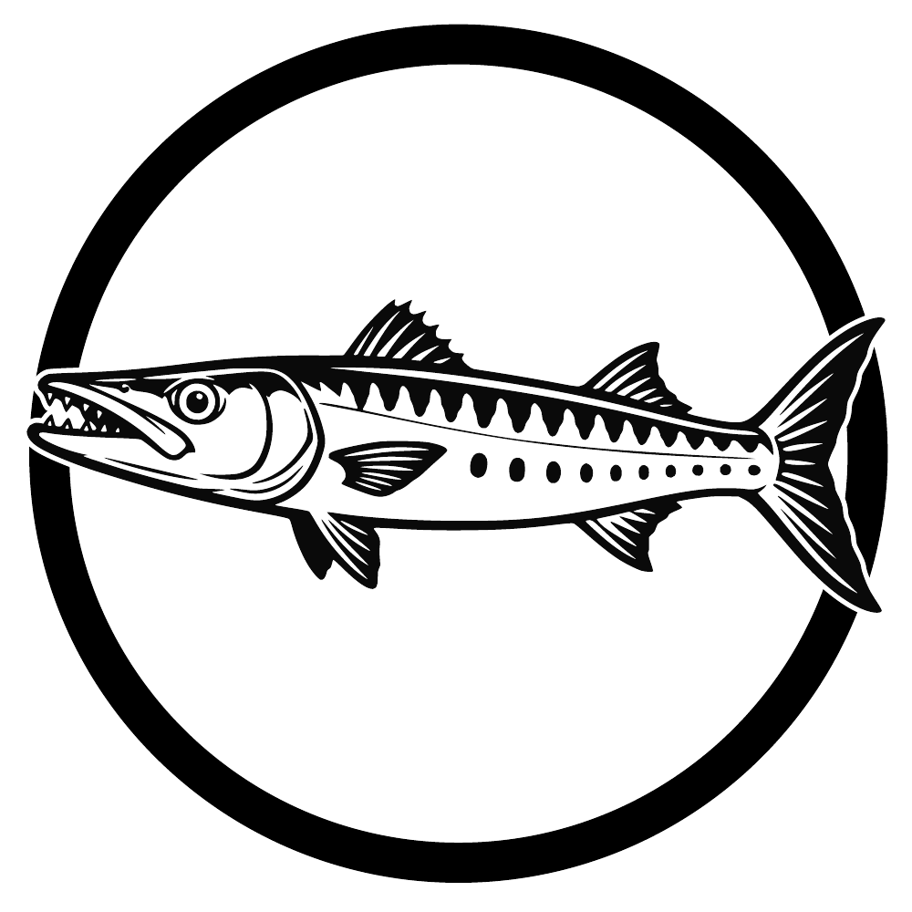 Barracuda