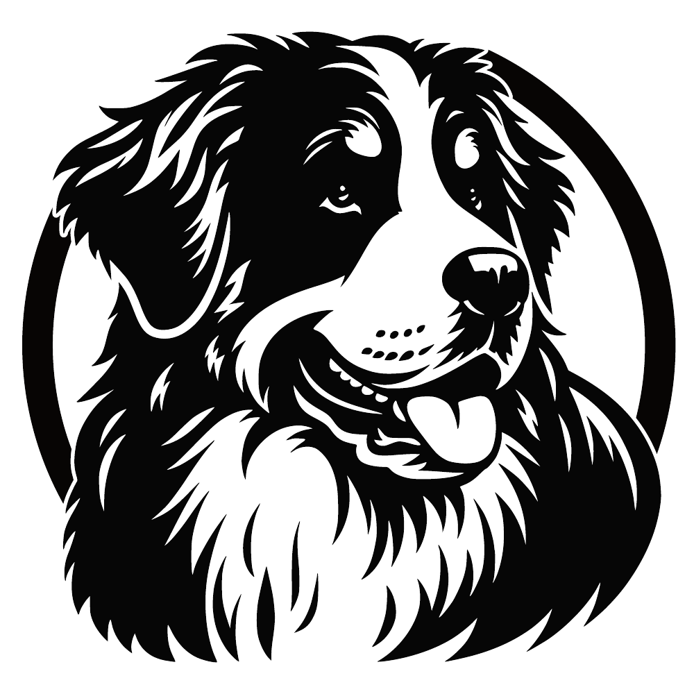 Berner Sennenhond