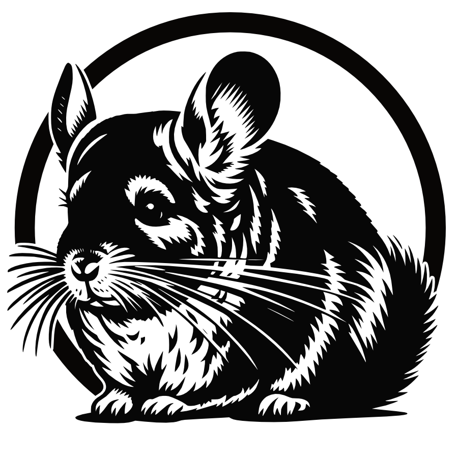 Chinchilla