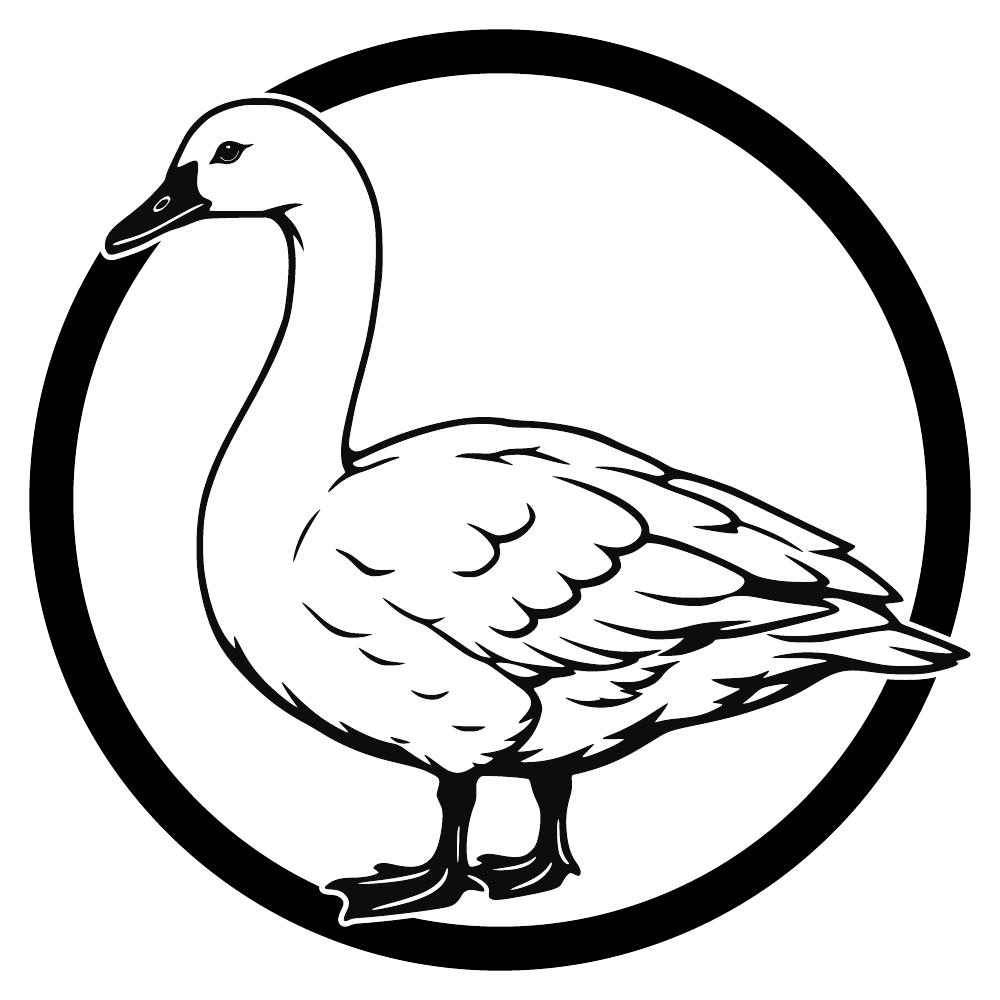 Coscoroba