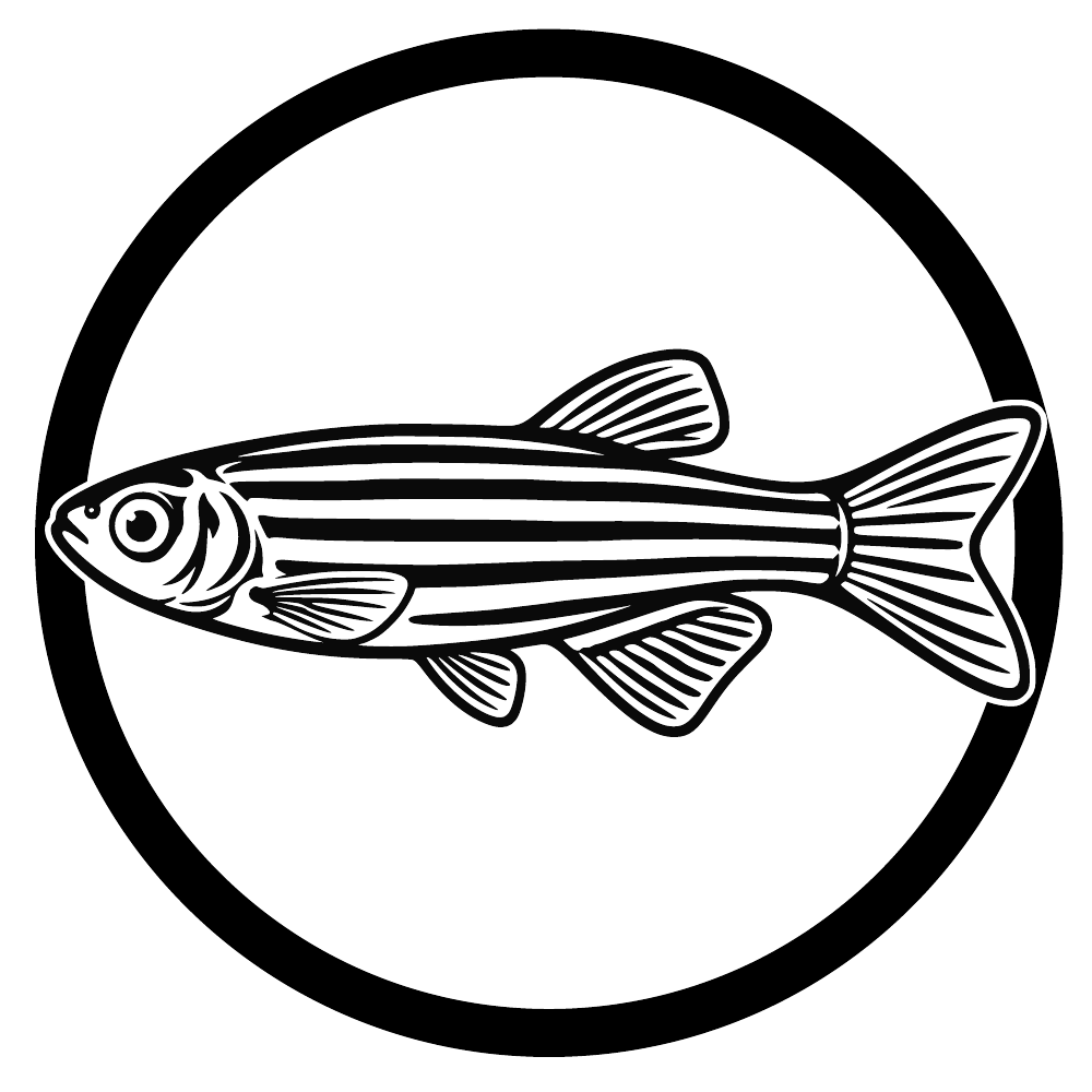 Danio