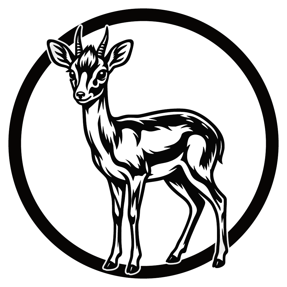 Dikdik