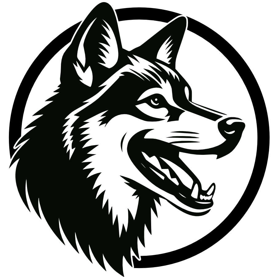 Dingo