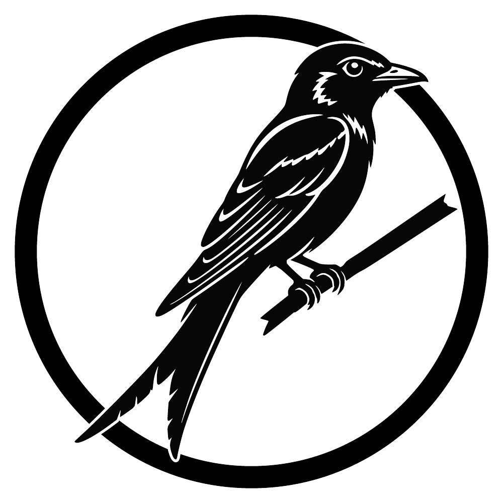 Drongo