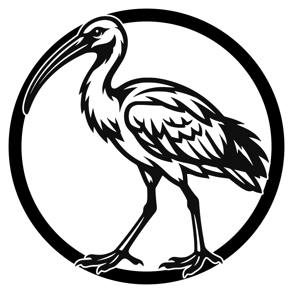 Ibis