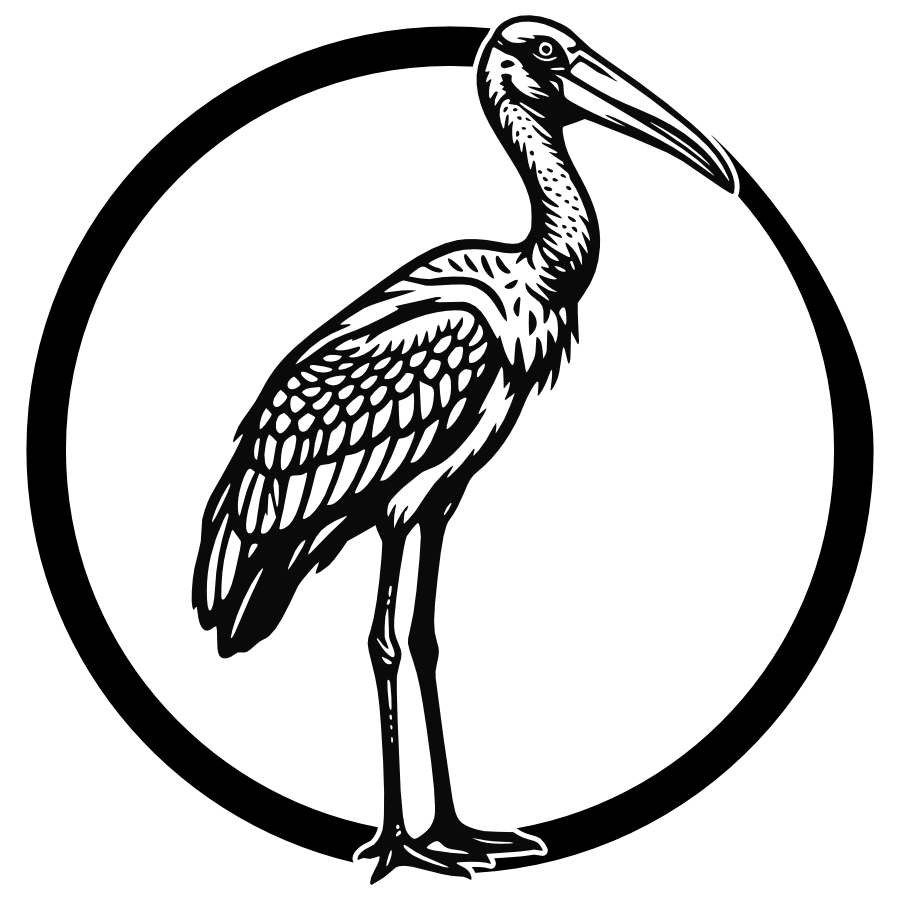 Jabiroe