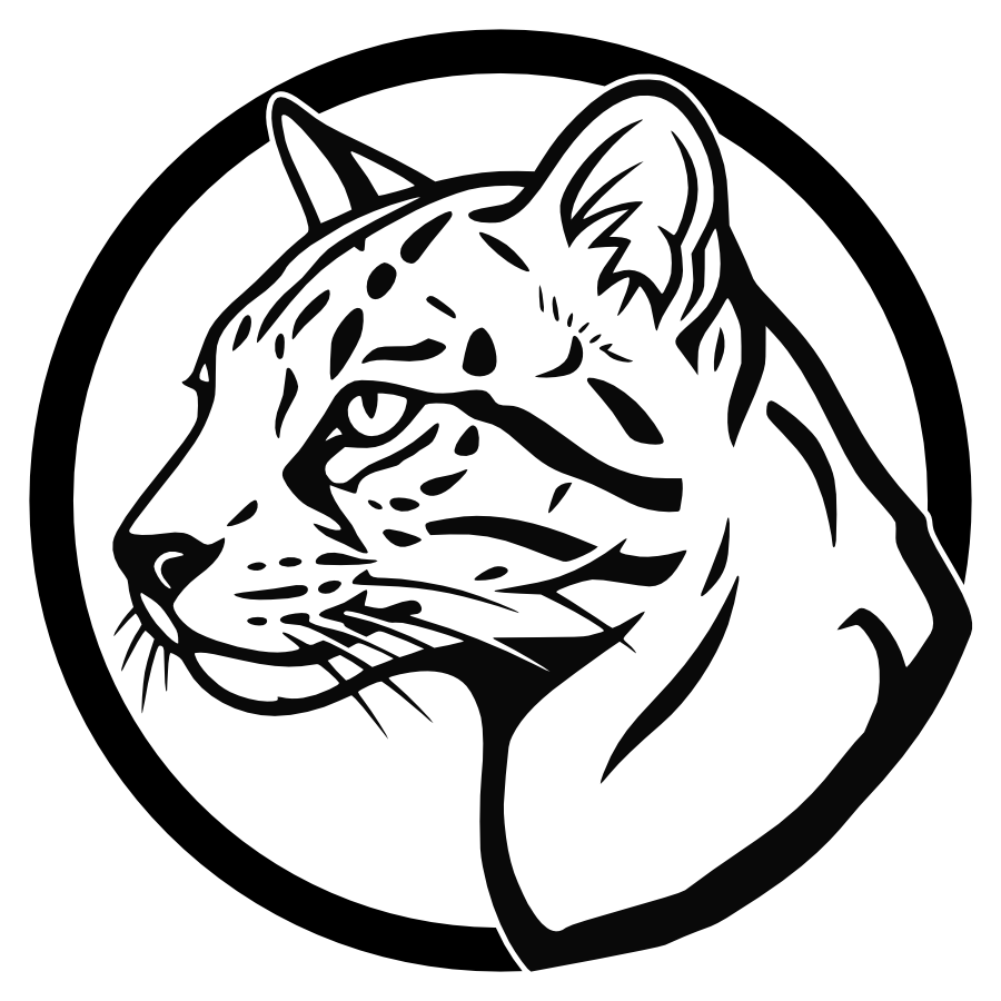 Jaguarundi