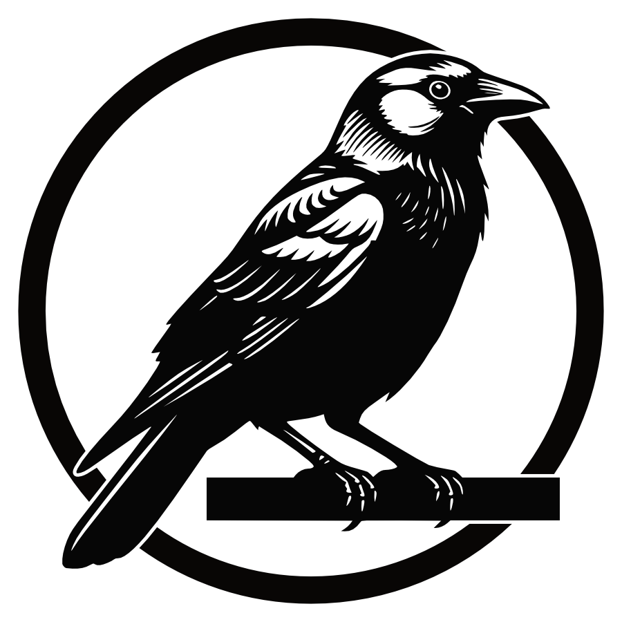 Kauw