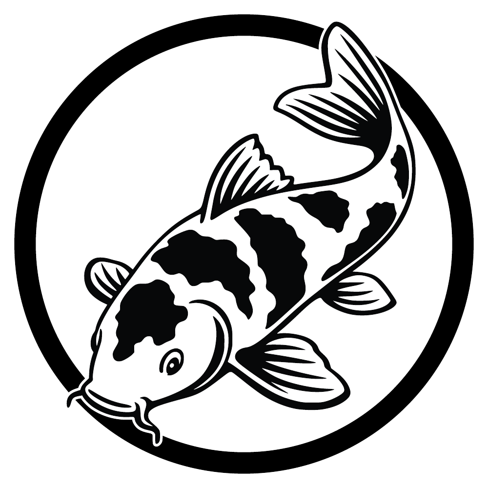Koi