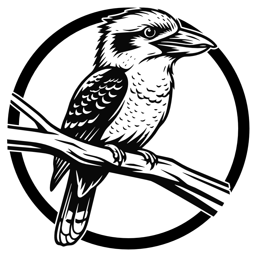 Kookaburra