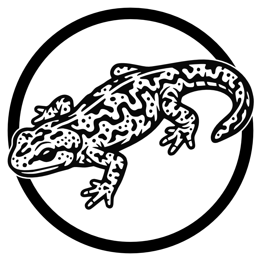 Marmersalamander