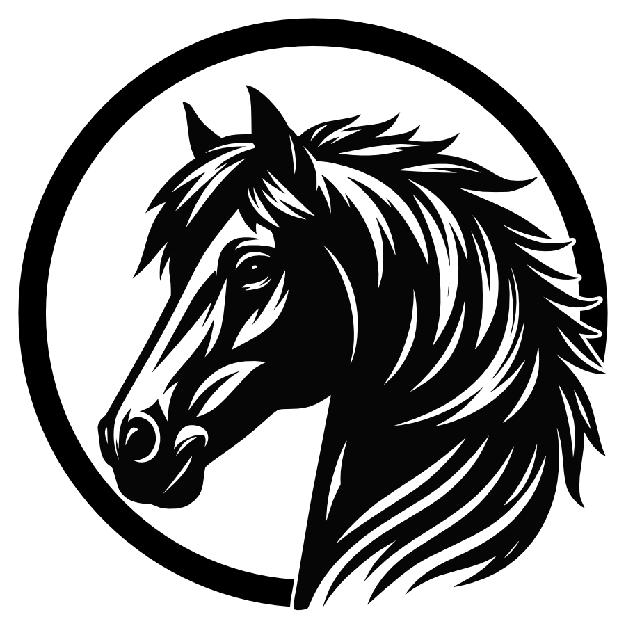 Paard