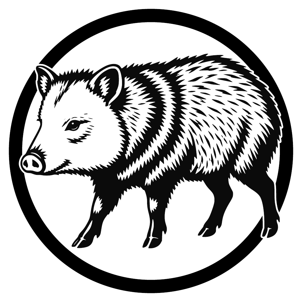 Pécari