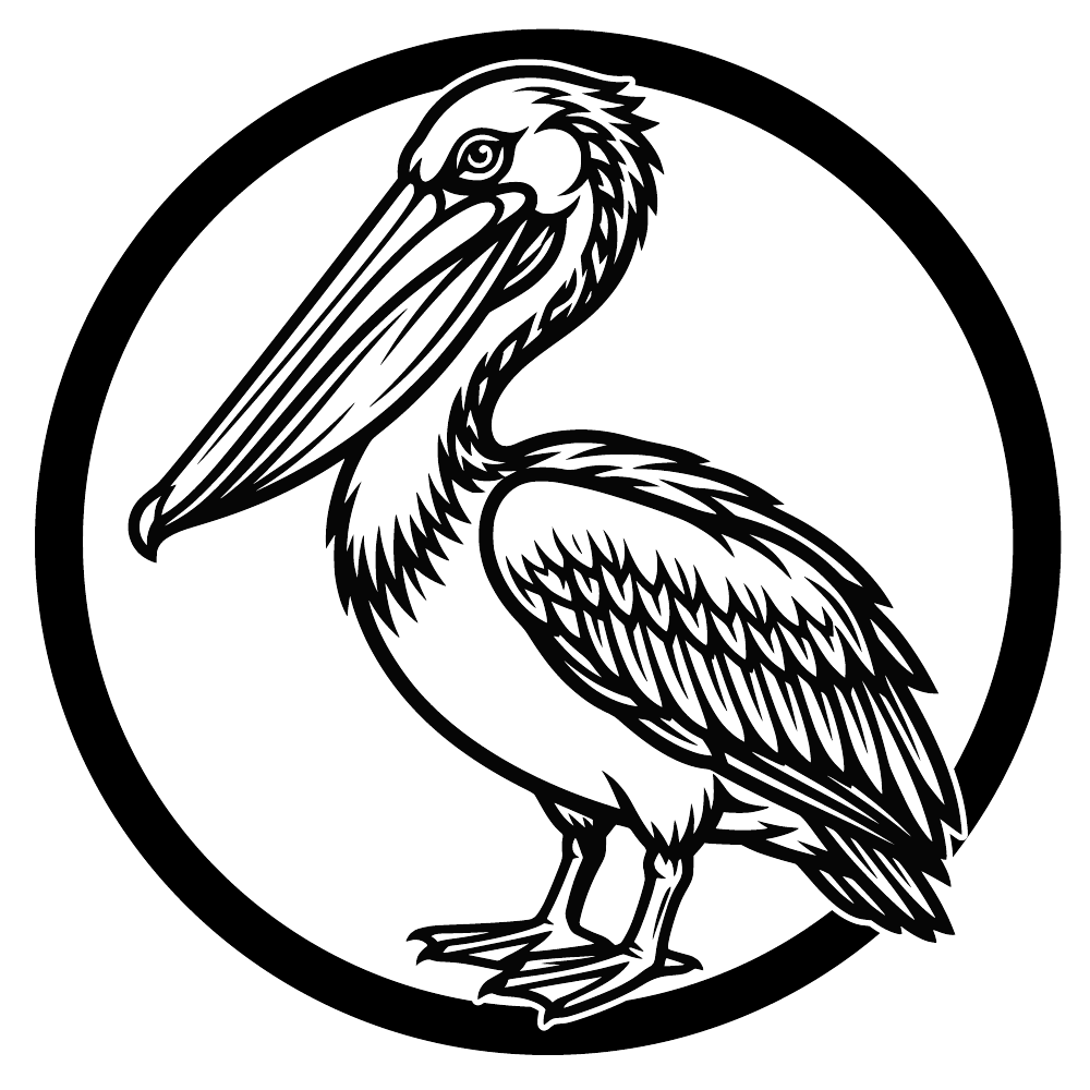 Pelikaan