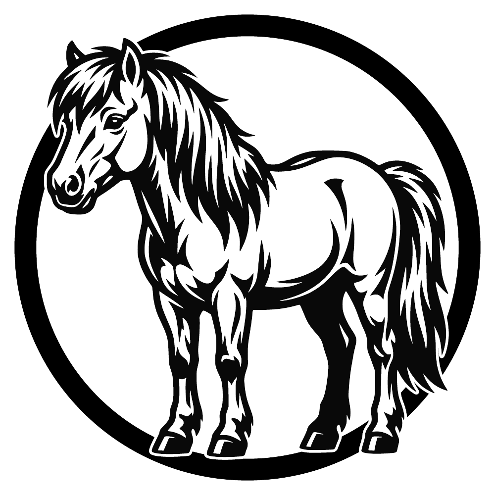 Poney