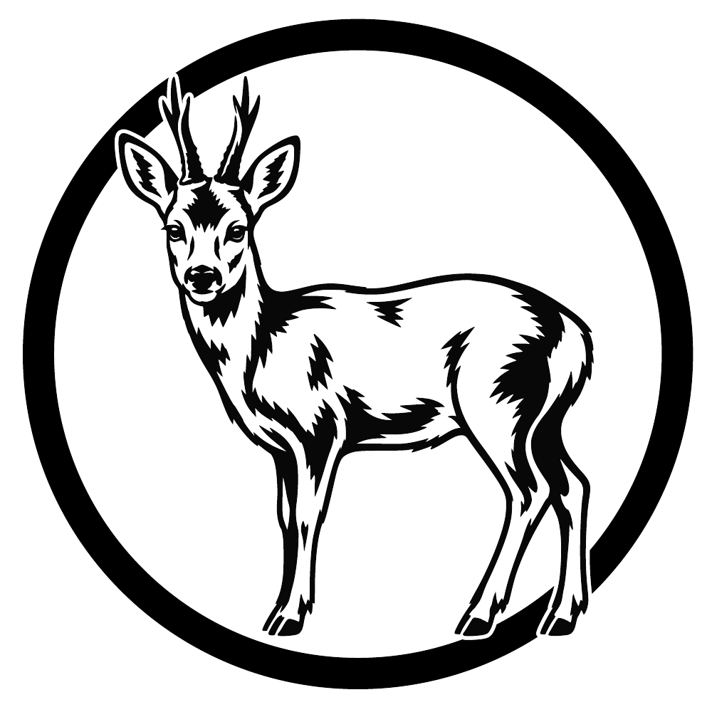 Chevreuil