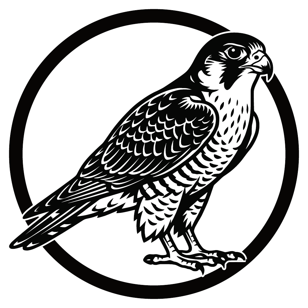 Slechtvalk