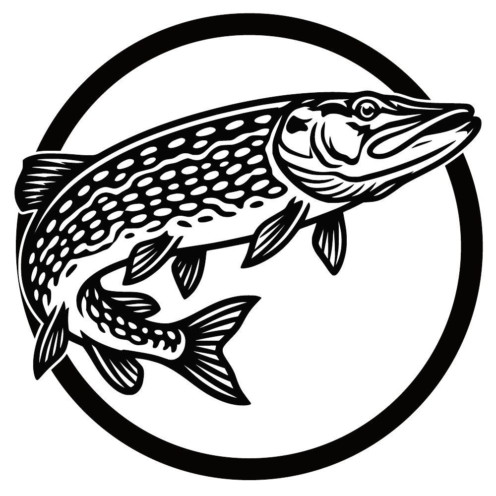 Snoek