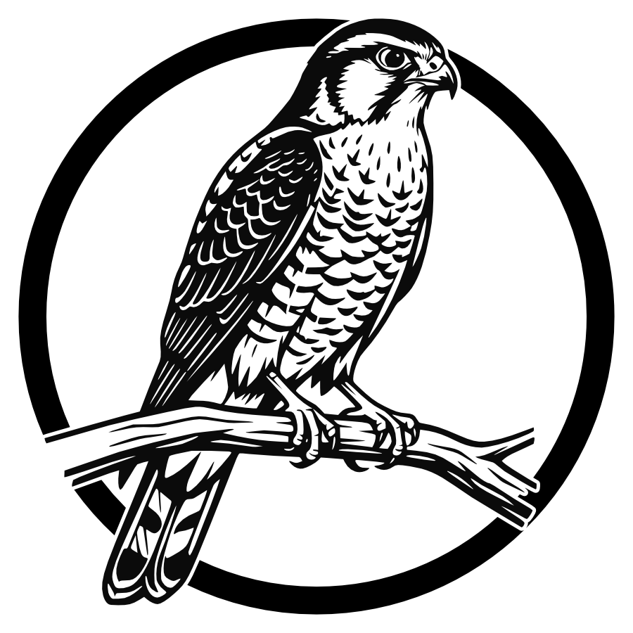 Sperwer