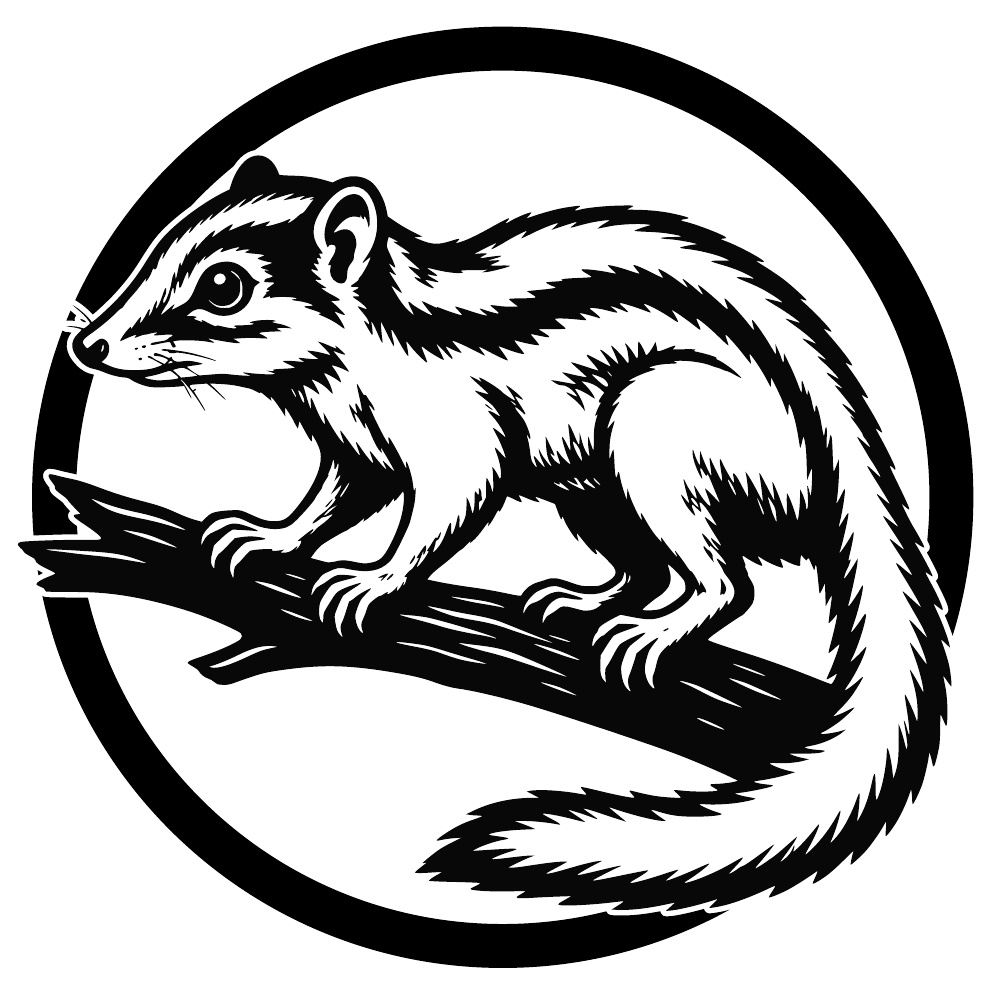Tupaia