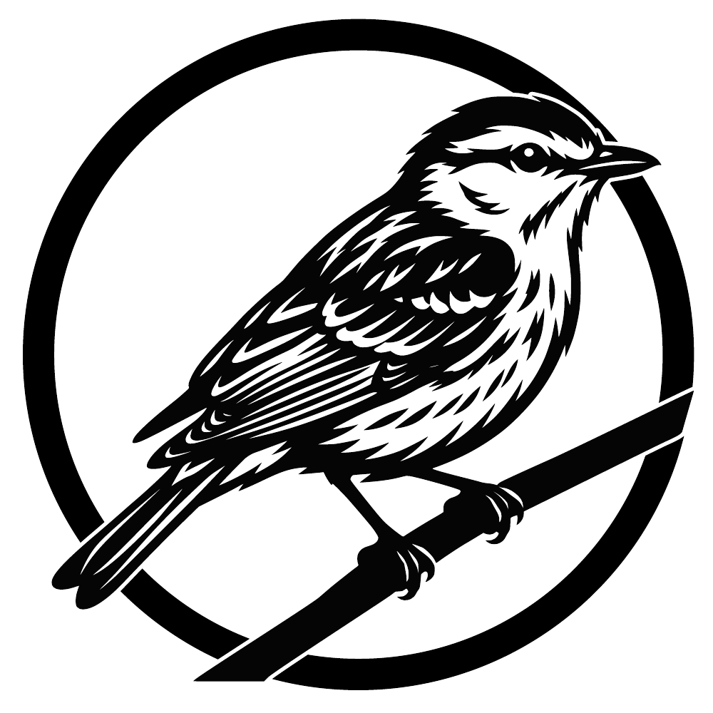 Vireo
