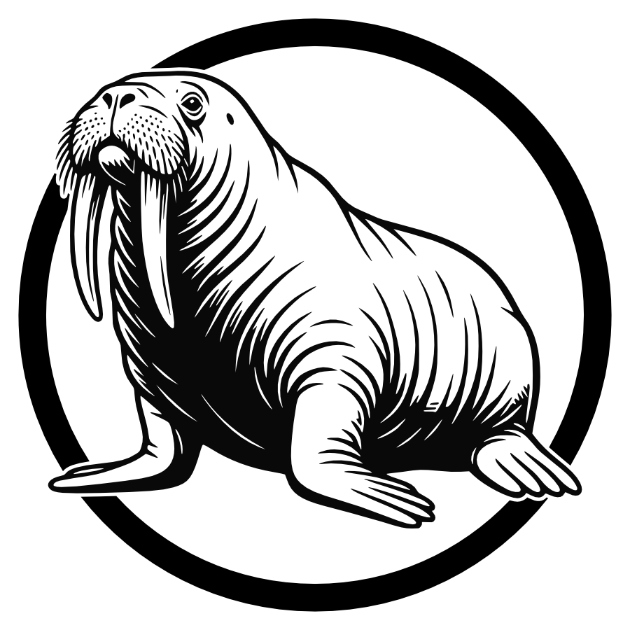 Walrus