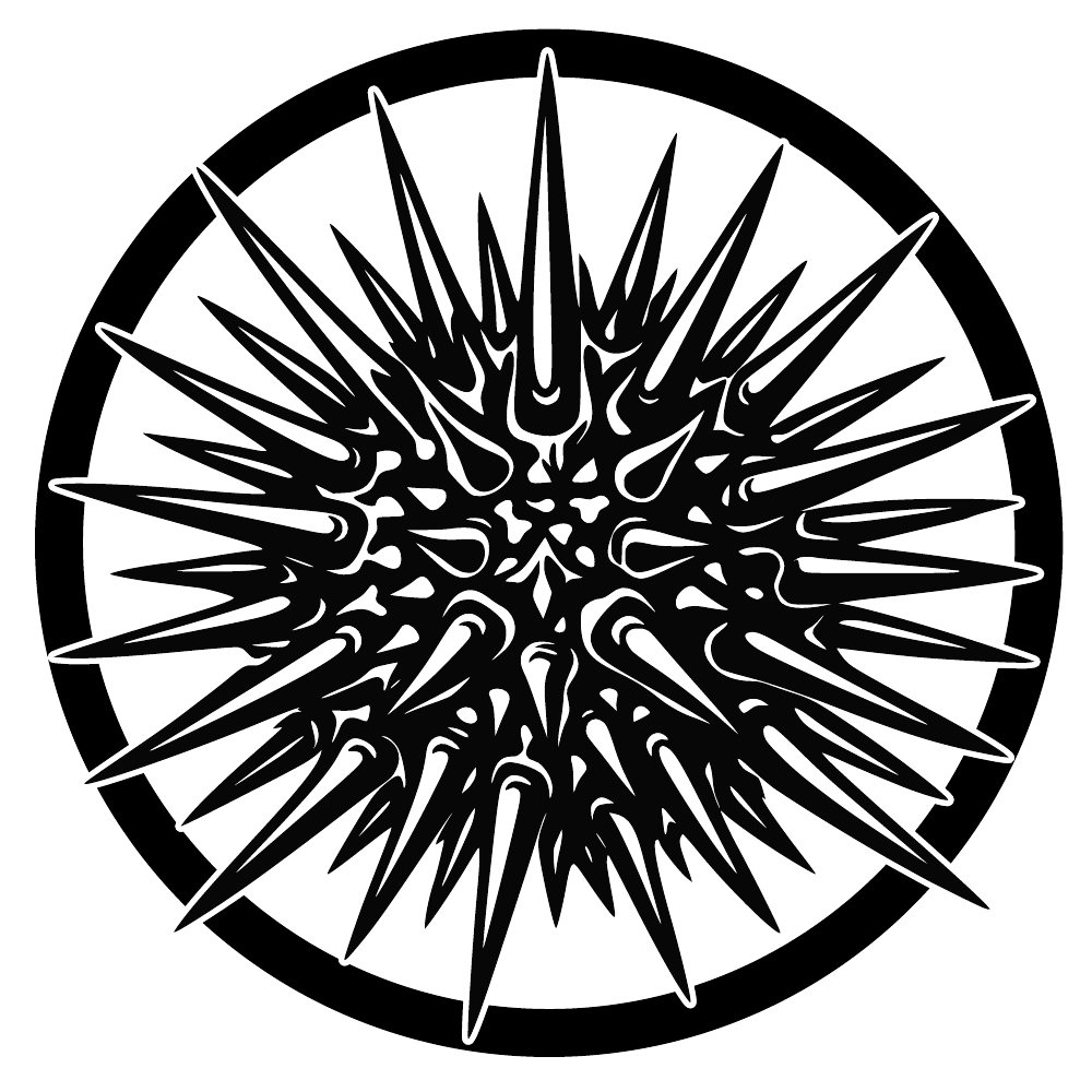 Oursin