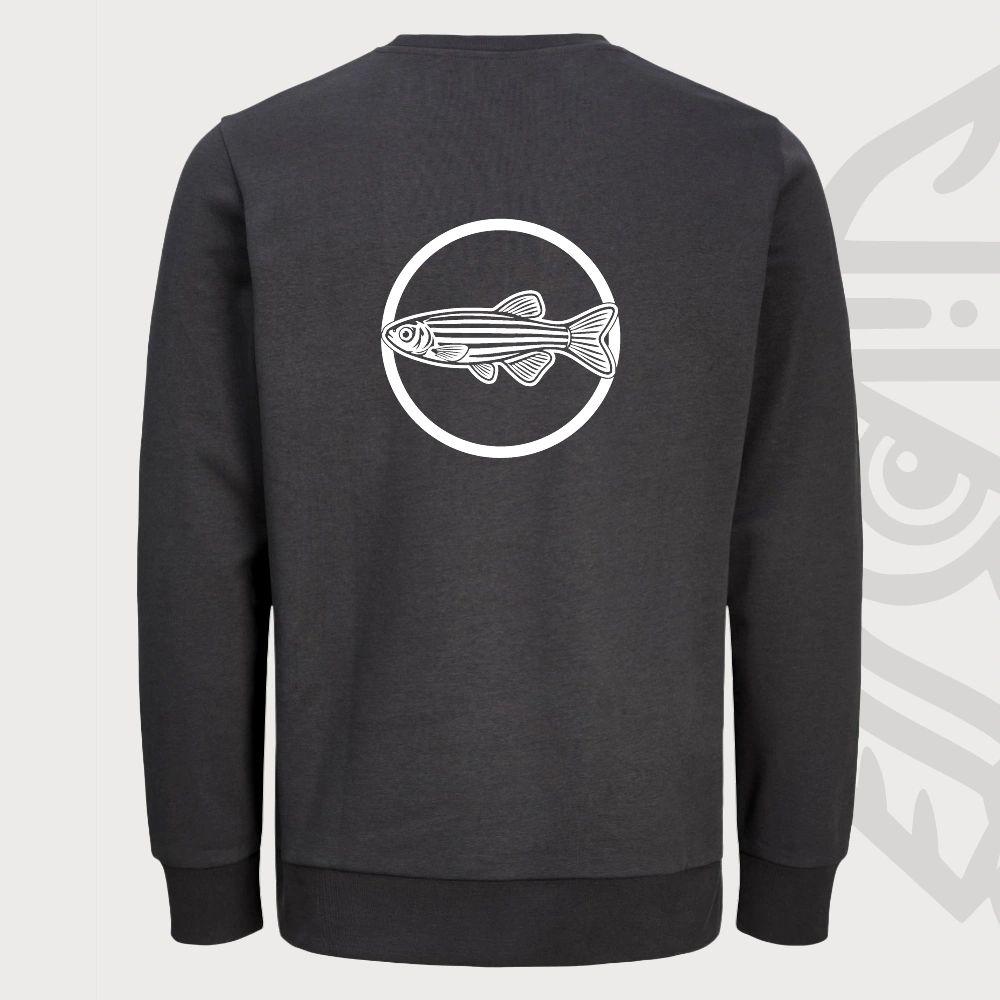 Danio Sweater – afbeelding 3