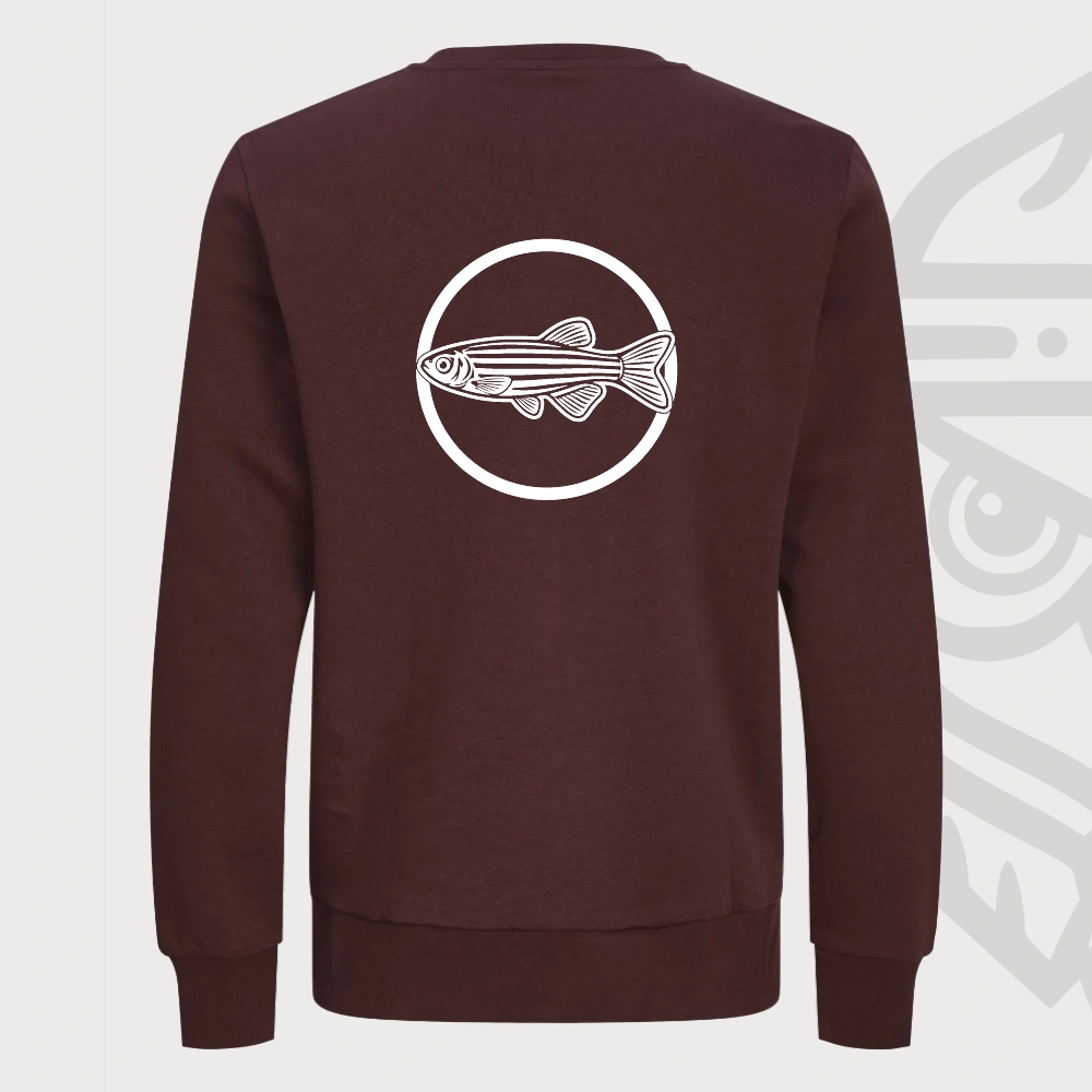 Danio Sweater