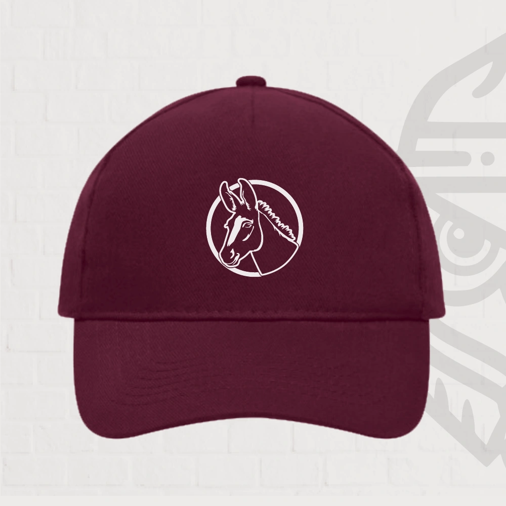 Âne Casquette
