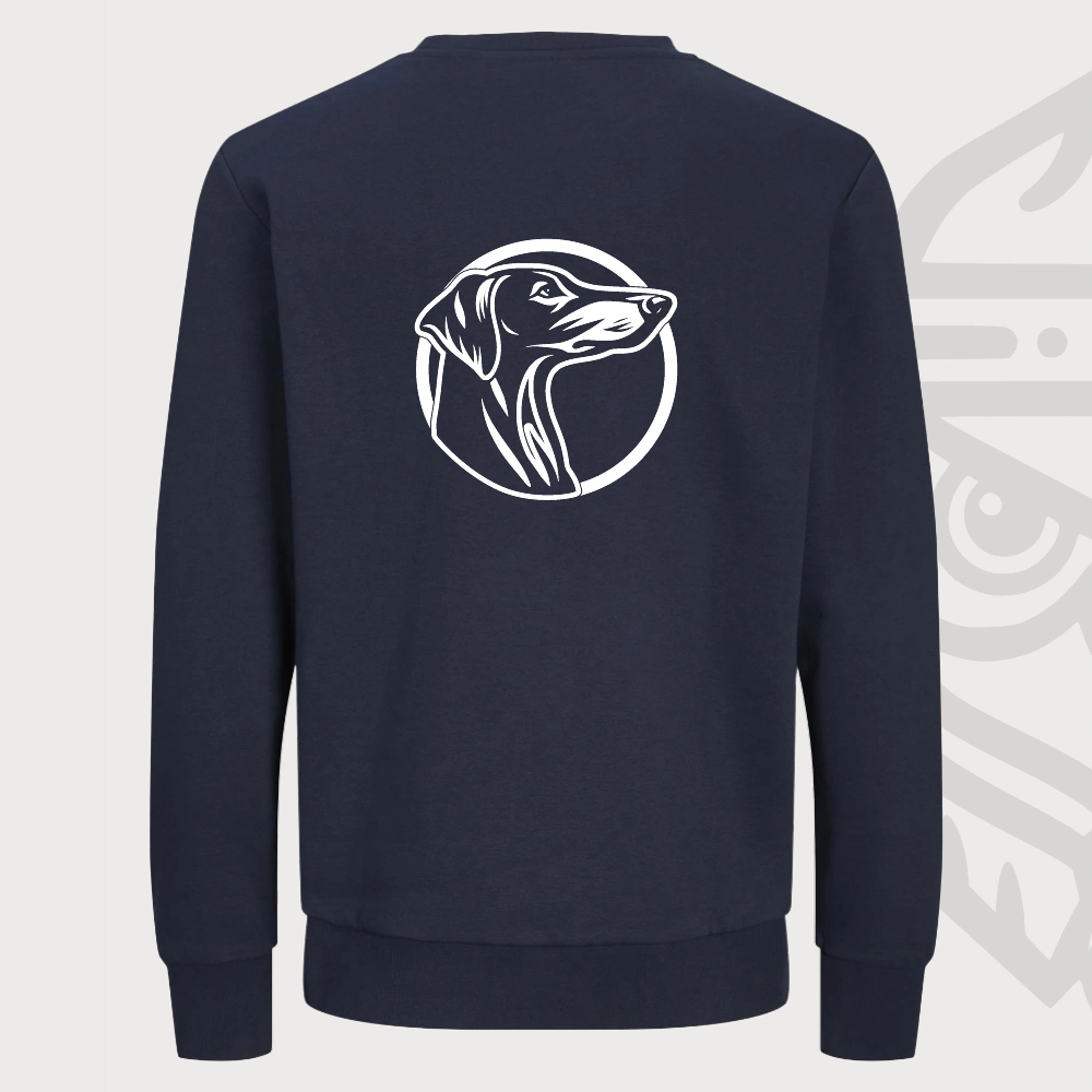 Lévrier Pull