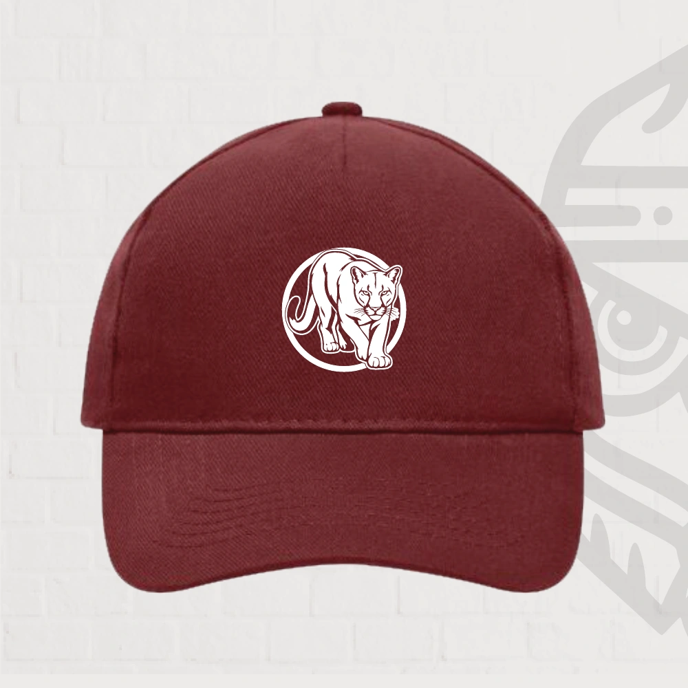 Puma Casquette