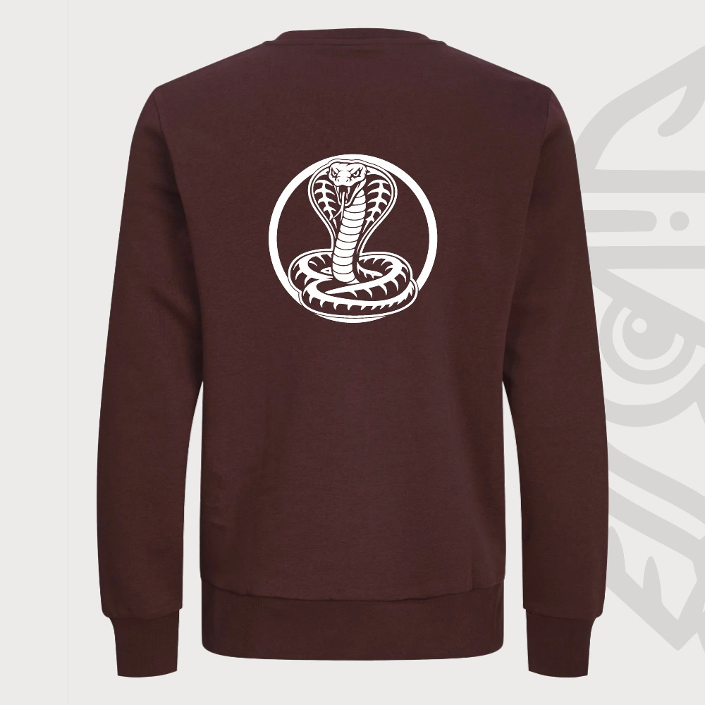 Python Pull – afbeelding 1