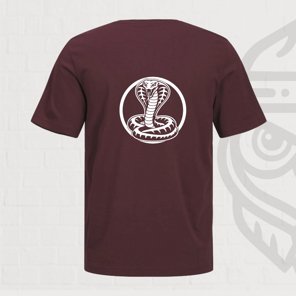Python T-shirt