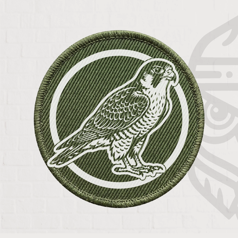 Slechtvalk Patch