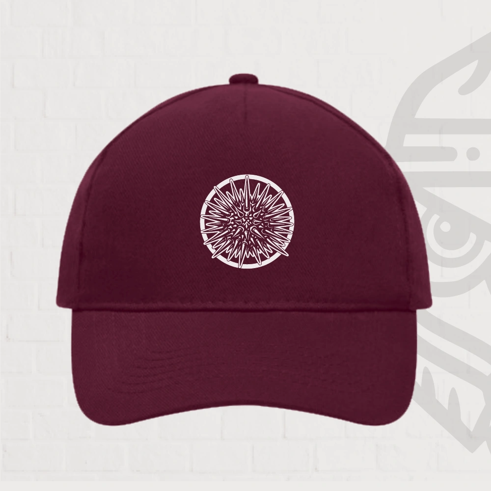 Oursin Casquette